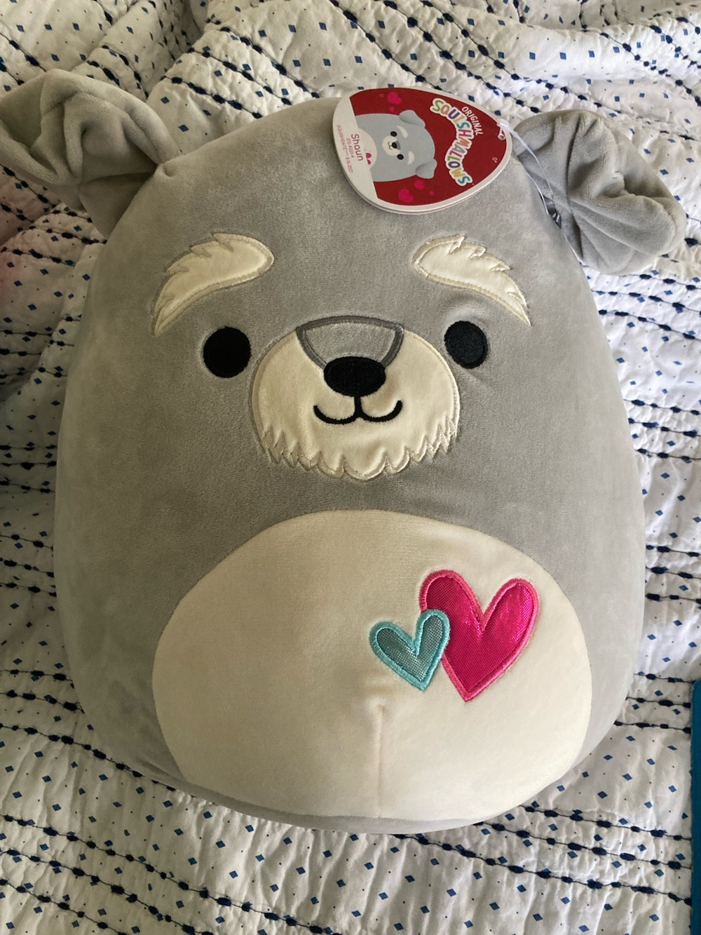 Squishmallow gray bear named Shaun Plush with Pink & Teal Hearts
